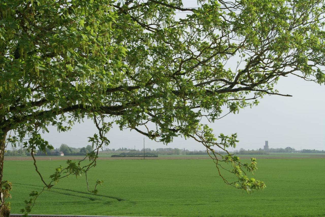 Beauvilliers  Ferme De Mesangeonヴィラ エクステリア 写真